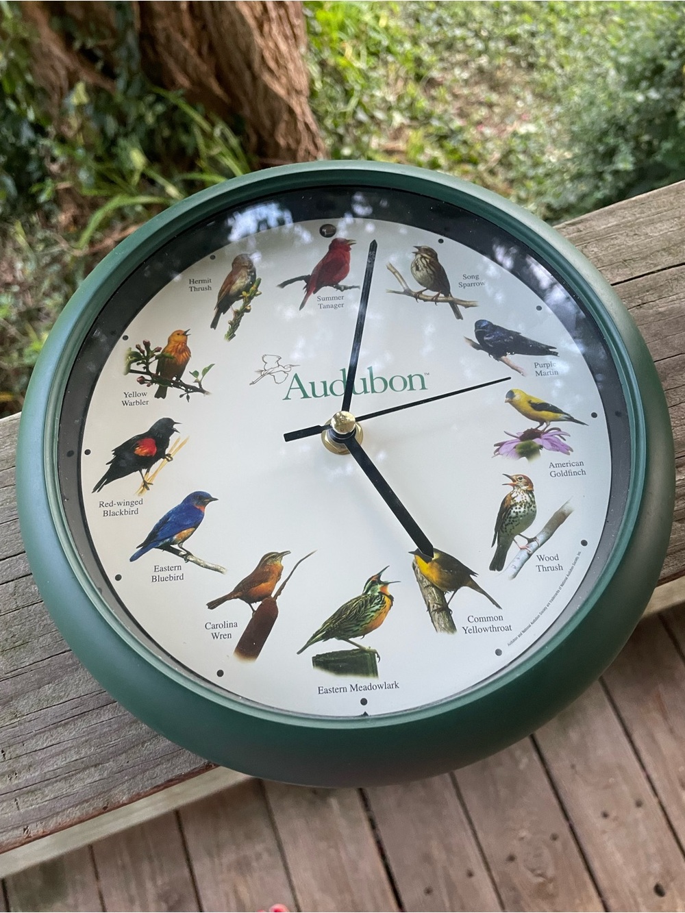 Audubon Singing Bird Wall Clock in Forest Green
